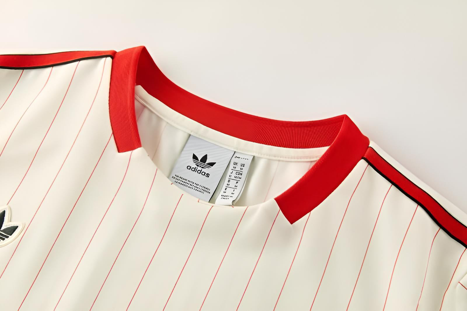 New Benfica TrackSuit Corto Special Edition 25/26