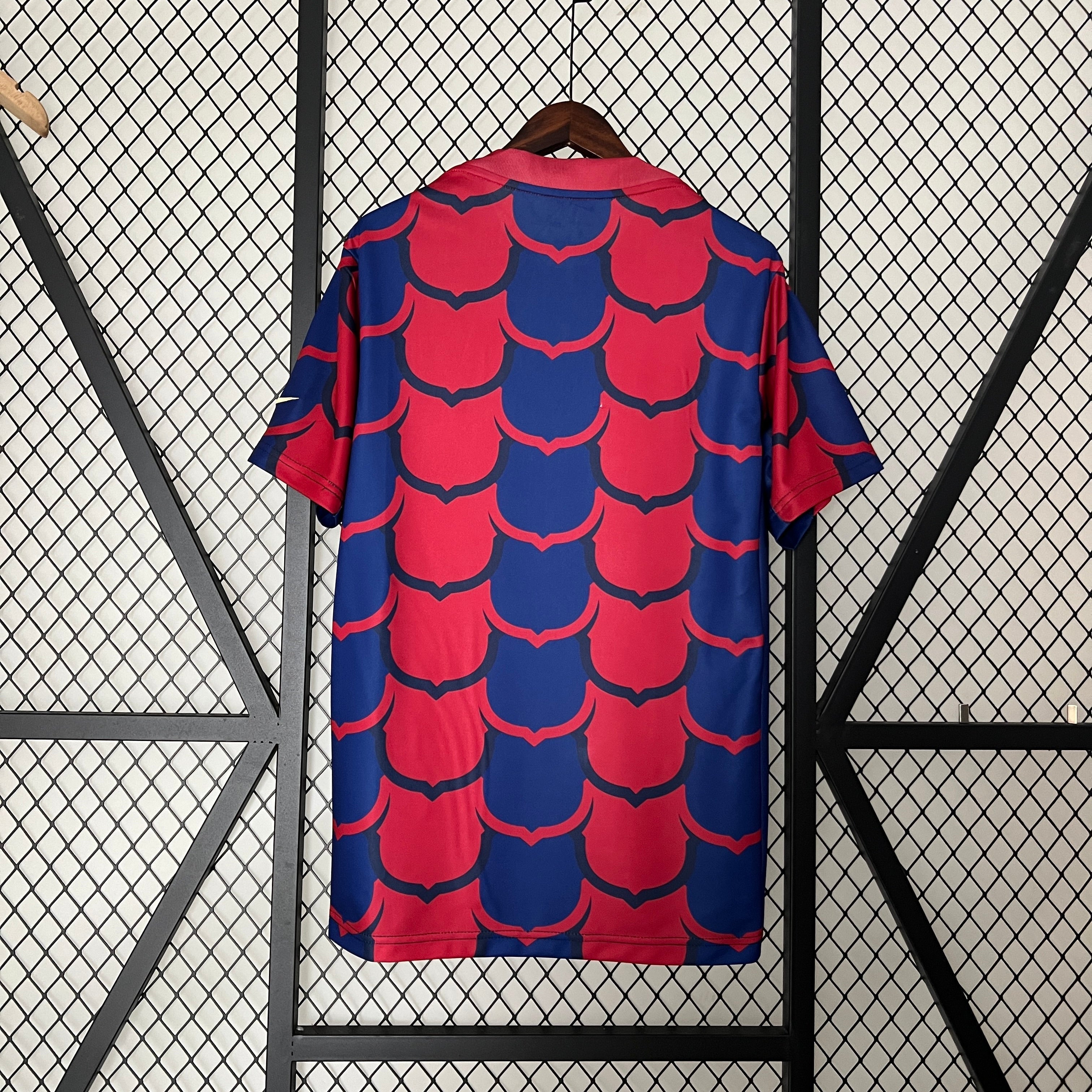 New FC Barcelona Special Edition Shirt 24/25