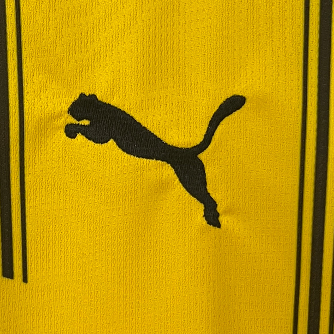 New Borussia Dortmund Home Shirt 24/25