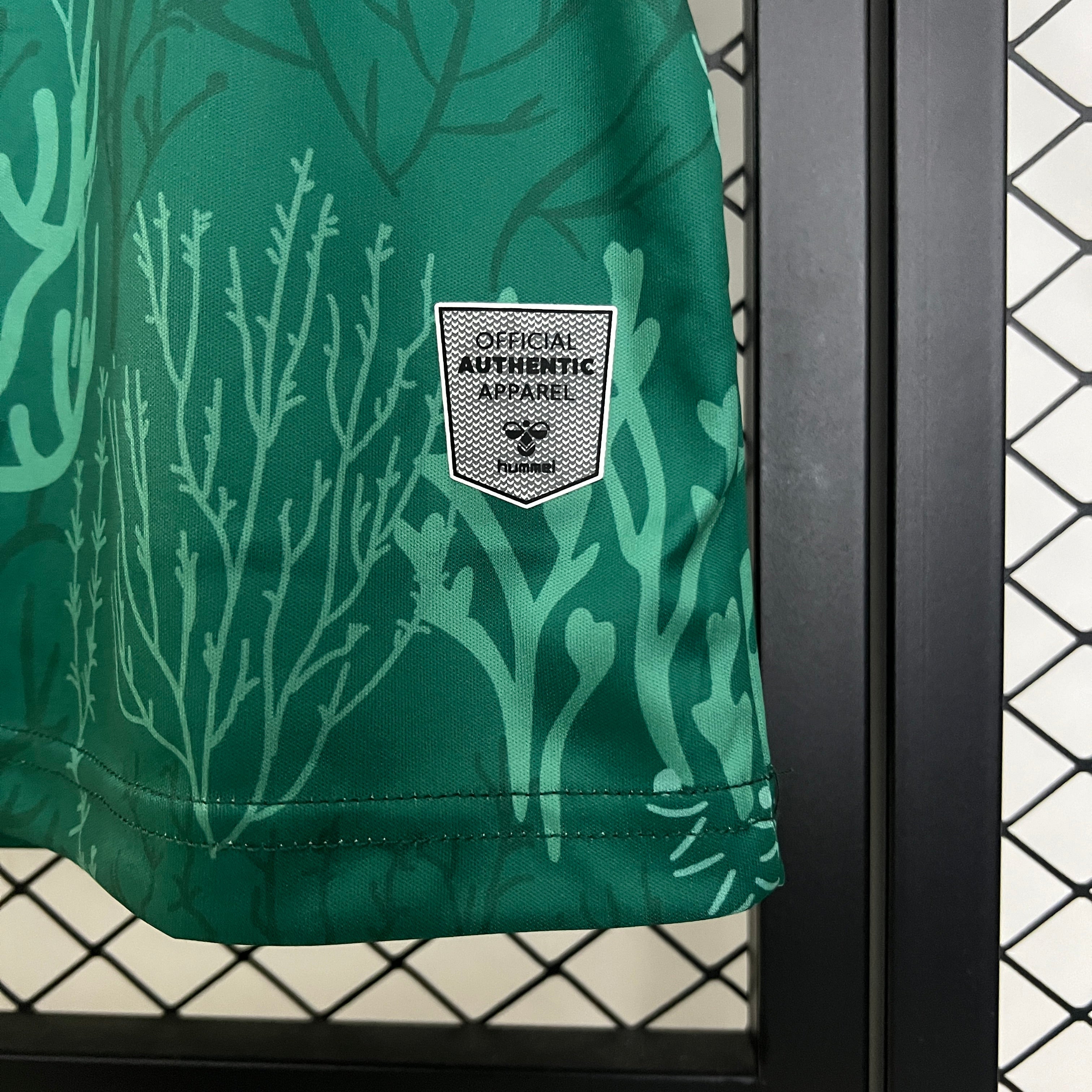 New Real Betis Special Edition Shirt 24/25
