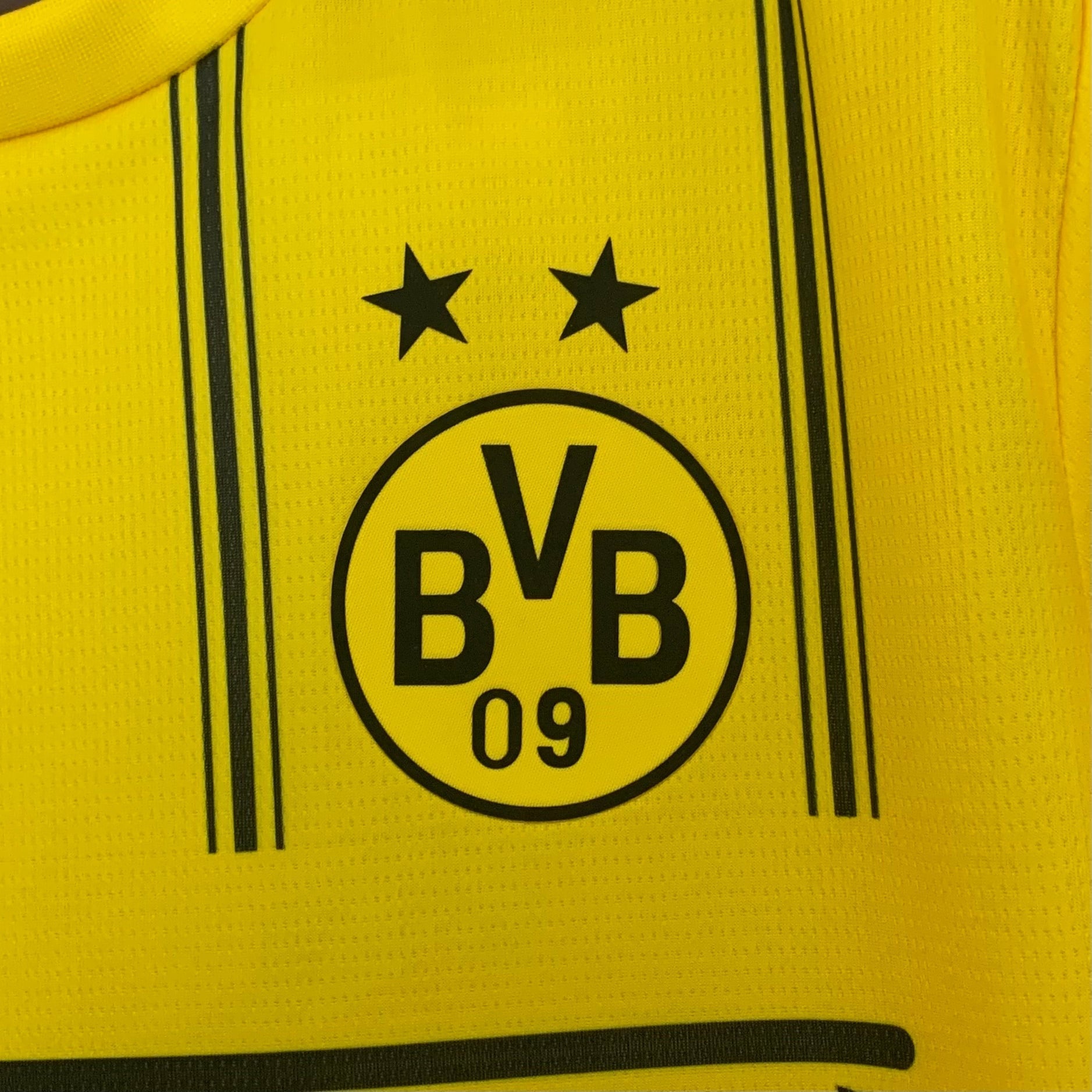 New Borussia Dortmund X One Piece Special Edition Shirt 25/26