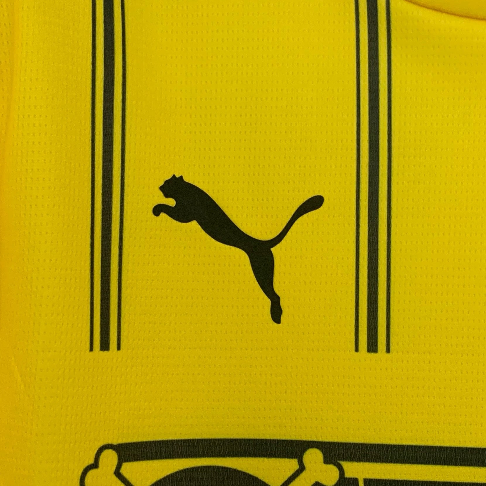 New Borussia Dortmund X One Piece Special Edition Shirt 25/26