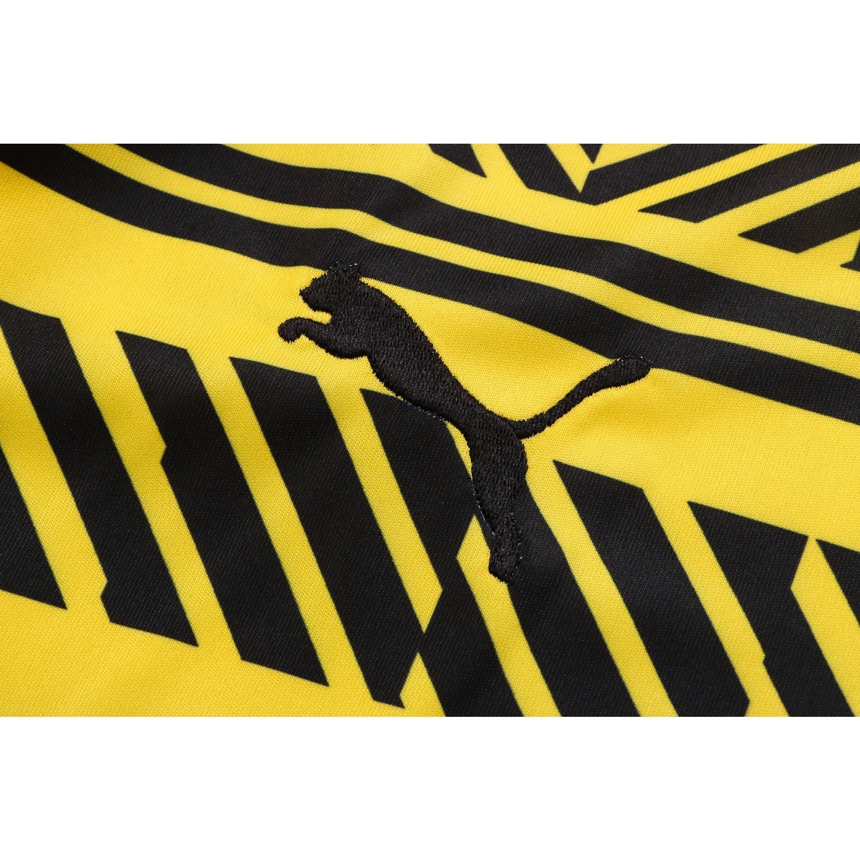 New Borussia Dortmund TrackSuit Corto 1º