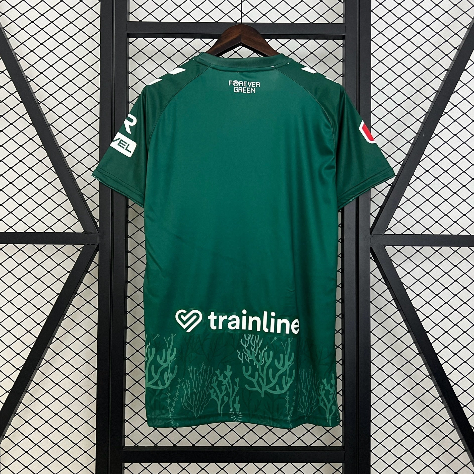 New Real Betis Special Edition Shirt 24/25