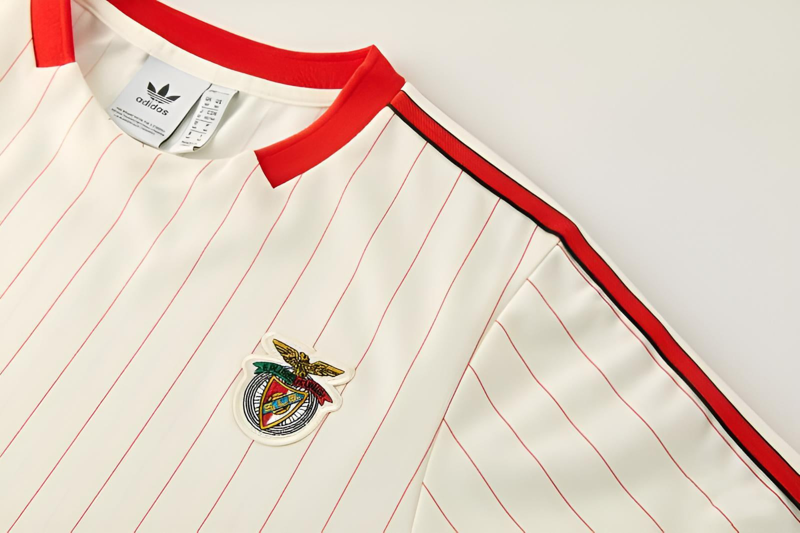 New Benfica TrackSuit Corto Special Edition 25/26
