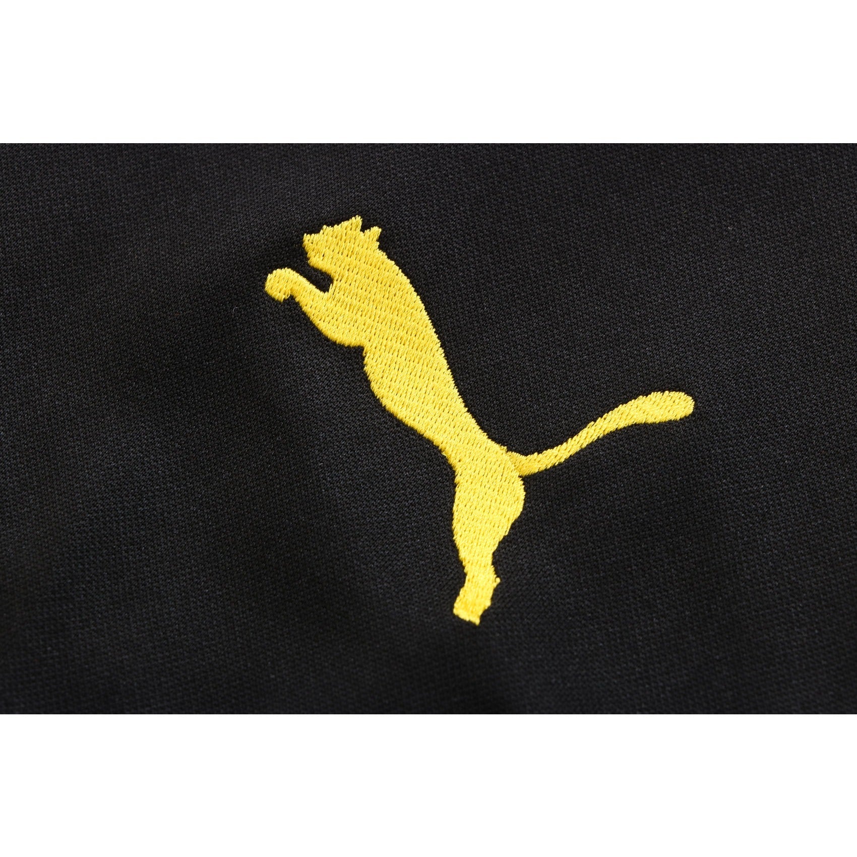 New Borussia Dortmund TrackSuit Corto 1º