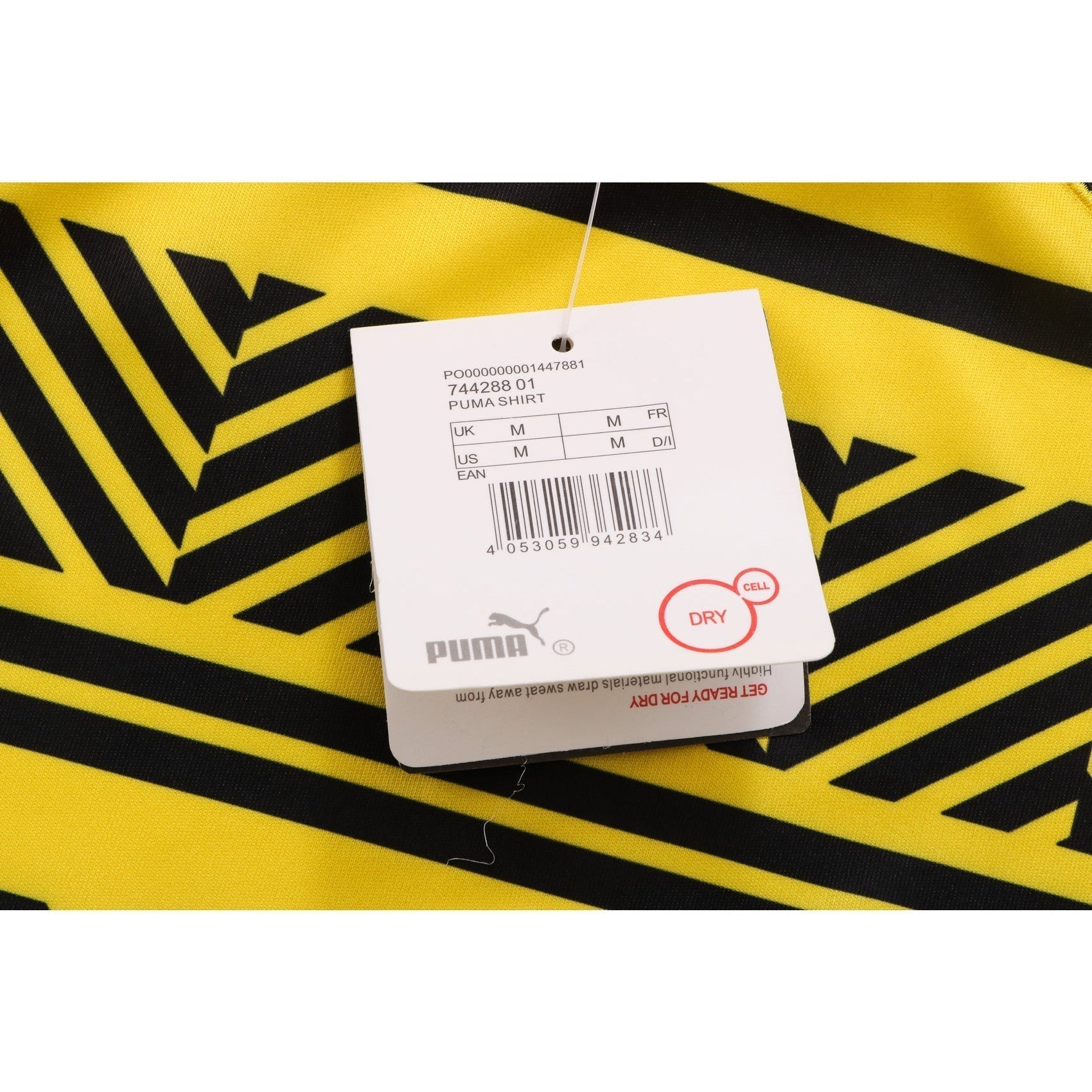 New Borussia Dortmund TrackSuit Corto 1º